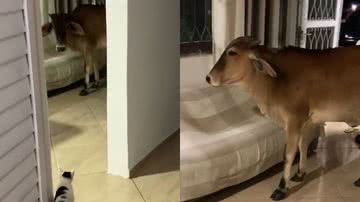 Reprodução/TikTok @pretaetuin