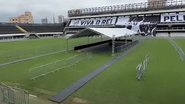 Foto: Reprodução/Canal UOL