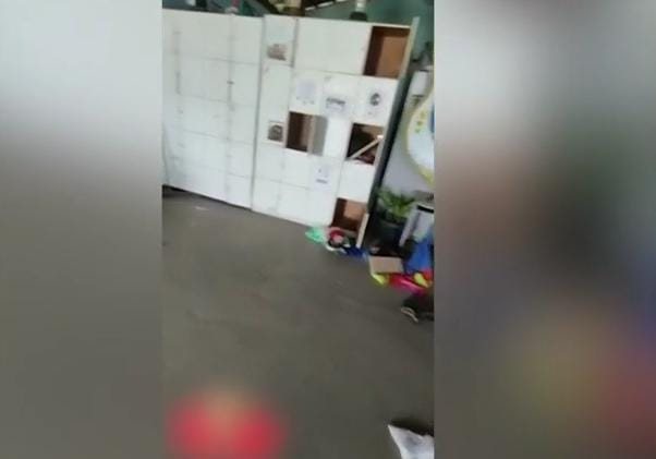 Reprodução Vídeo