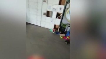 Reprodução Vídeo