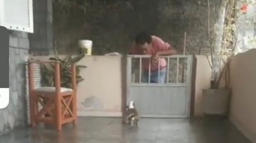 Reprodução/ Vídeo