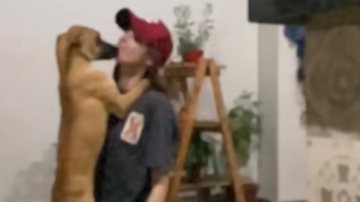 Reprodução// Vídeo