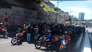 Leitor BBews