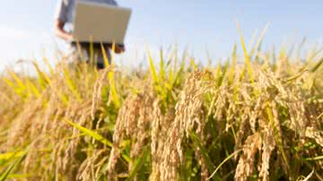 Divulgação / Pixabay