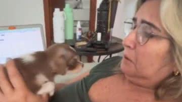 Reprodução/RedesSociais