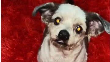 Reprodução/RedesSociais