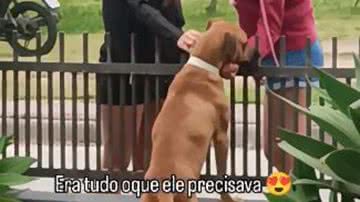 Reprodução/RedesSociais