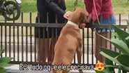 Reprodução/RedesSociais