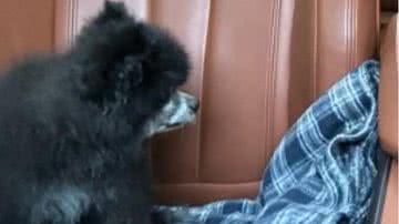 Reprodução / Redes Sociais