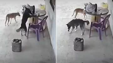 Reprodução / Redes Sociais