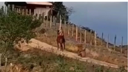 Reprodução / Redes Sociais