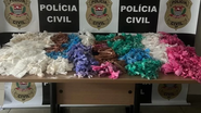 Divulgação/Polícia Civil de São Paulo