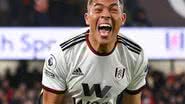 Divulgação/Fulham