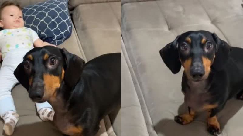 Reprodução// TikTok @alfredoethui