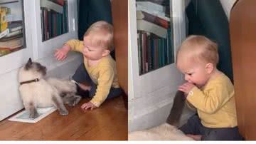 Reprodução//TikTok @elsieschwab