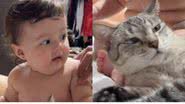Reprodução//TikTok @maedaceci