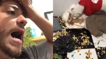 Reprodução//TikTok @daniloreissoficial