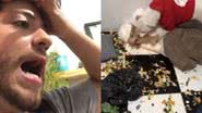 Reprodução//TikTok @daniloreissoficial