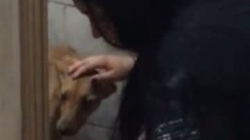 Reprodução// TikTok @1cauazintf