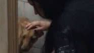 Reprodução// TikTok @1cauazintf