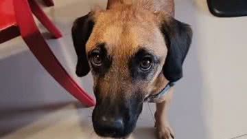 Reprodução/RedesSociais