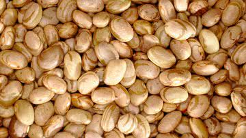 Ricardo Ghisi Tobaldini/Flickr