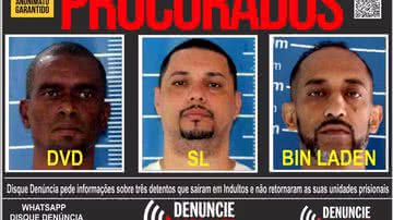 Divulgação