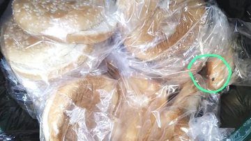 Reprodução/Arquivo Pessoal