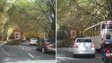 Montagem BNews//Leitor BNews