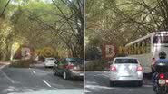 Montagem BNews//Leitor BNews