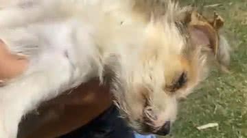 Reprodução / Redes Sociais