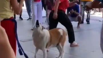 Reprodução / Redes Sociais