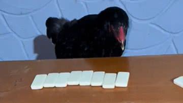 Reprodução / Redes Sociais