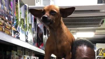 Reprodução / Redes Sociais