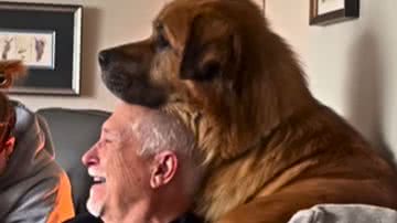 Reprodução / Redes Sociais