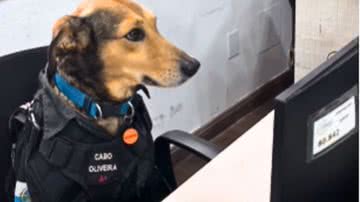 Reprodução / Redes Sociais