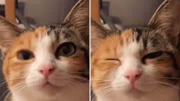 Reprodução / Redes Sociais