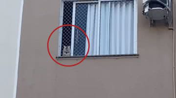 Reprodução / Redes sociais