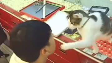 Reprodução / Redes sociais