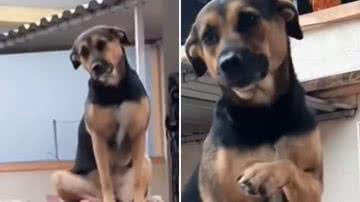 Reprodução / Redes Sociais