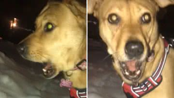 Reprodução / Redes Sociais