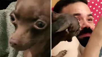 Reprodução / Redes Sociais