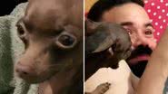 Reprodução / Redes Sociais