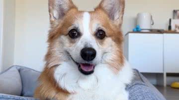 Reprodução / Redes sociais