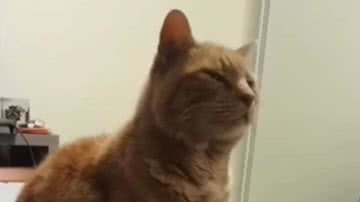 Reprodução / Redes Sociais