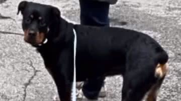 Reprodução / Redes sociais