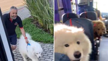 Reprodução / Redes Sociais