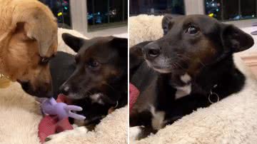 Reprodução / Redes sociais