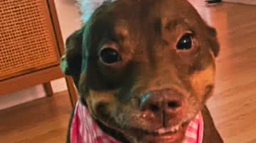 Reprodução / Redes Sociais