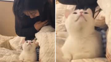 Reprodução / Redes Sociais